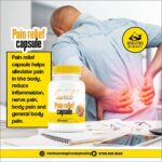 Pain Relief Capsule